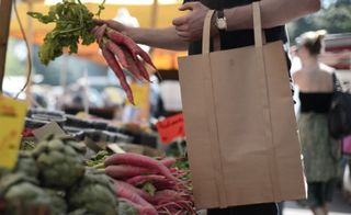 A regular grocery bag