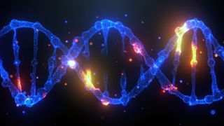 illustration of a dna molecule with different nucleotides highlighted