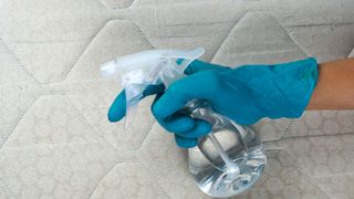 A blue rubber-gloved hand hold a cleaning spray bottle over a dirty mattress