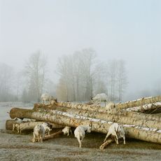  Russian republic’s villages