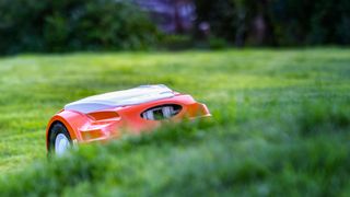 robot lawn mower cutting grass on an incline