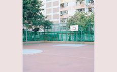 Basketball Court