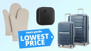 Oven mitts, Blink 4 and luggage with lowest price tag