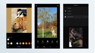 Screenshots of the VSCO photo editing app