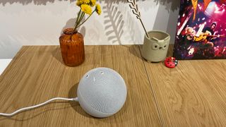 The Echo Dot (5th Gen) on a wooden table in front of two flower pots