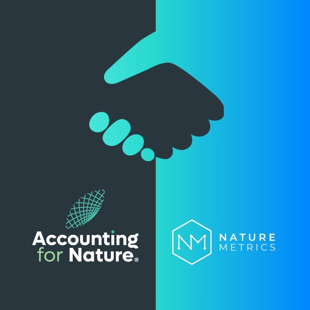 NatureMetrics collaborates with Accounting for Nature to improve accuracy of corporate nature reporting 