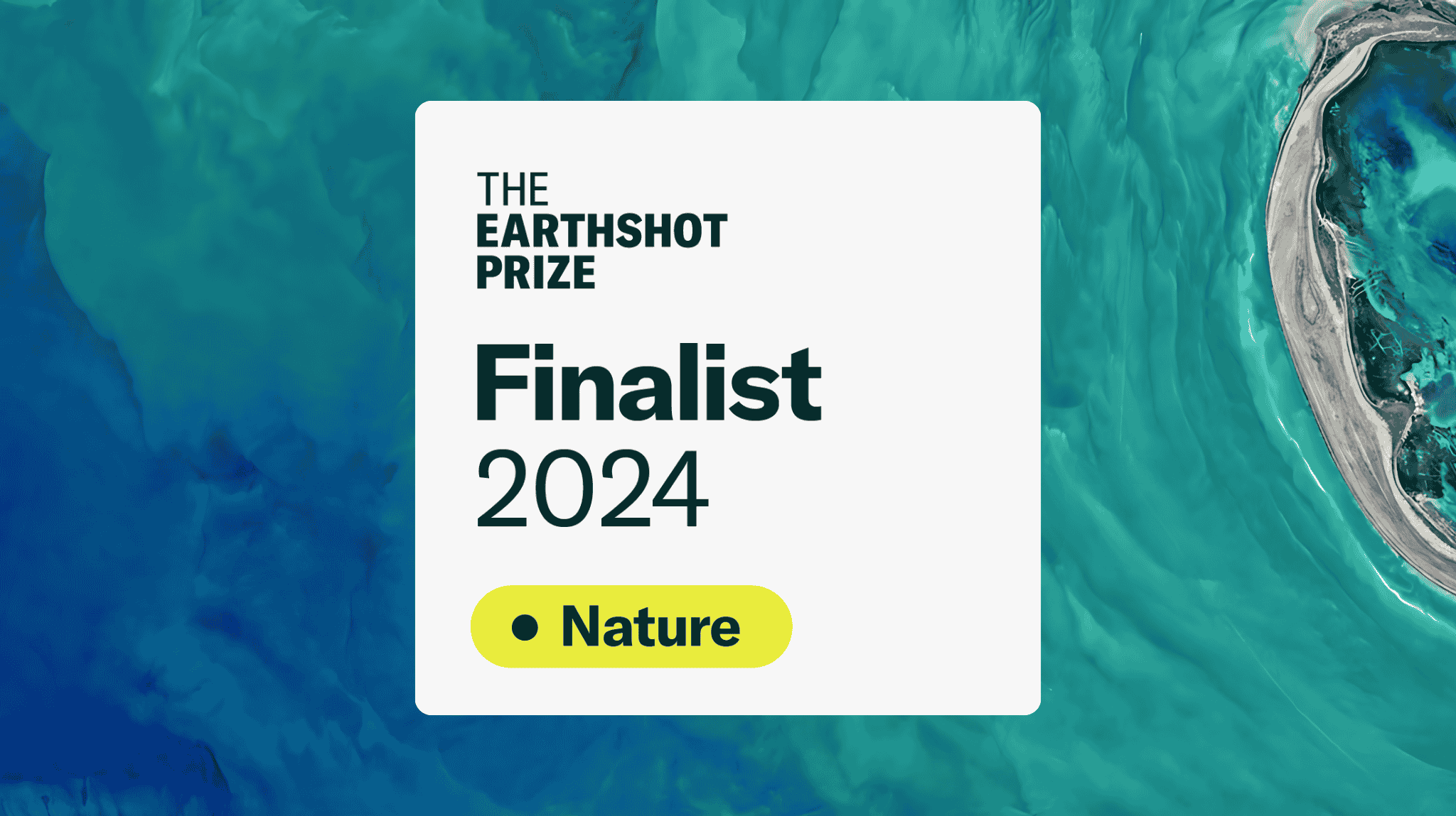 NatureMetrics Announced as Earthshot Prize Finalist: A Decade of Impact and a Strong Vision for the Future 