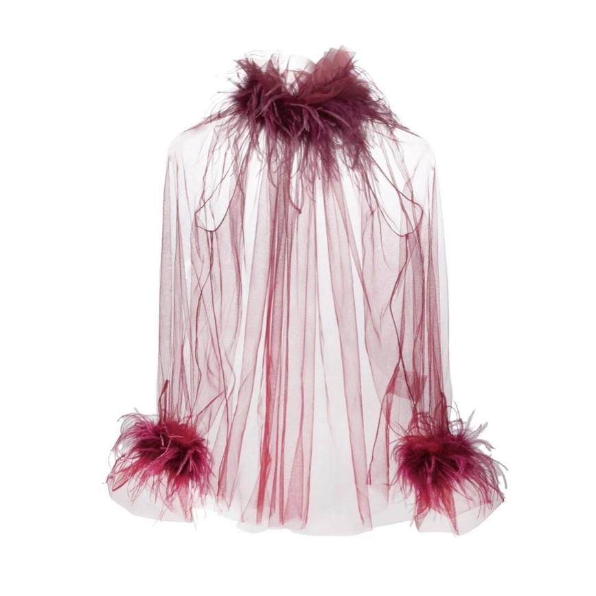 Conscious STYLAND Feather-Embellished Sheer Tulle Top