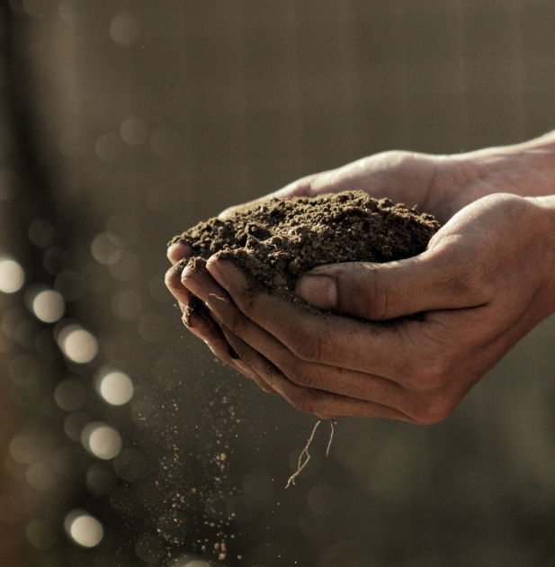 A heap of sand in human palms