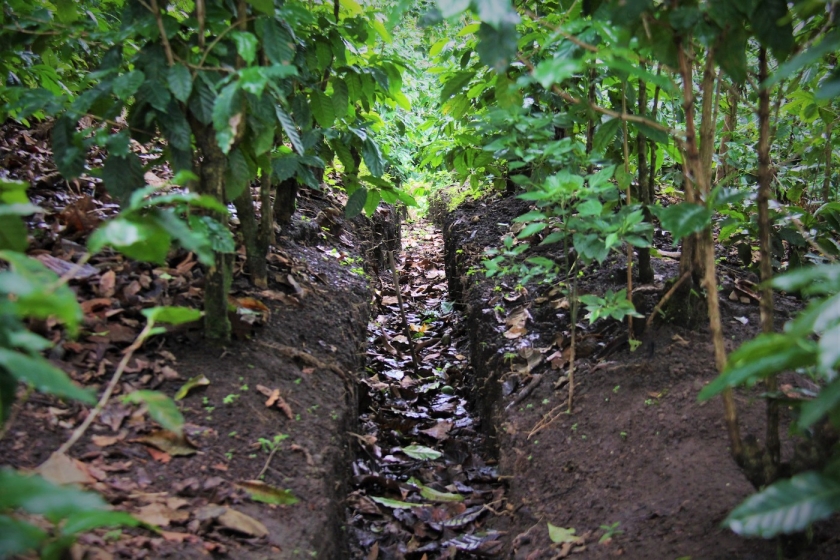 An irrigation ditch