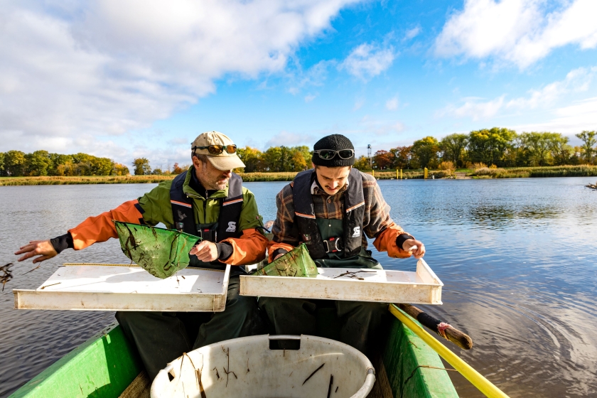 Two men looking at small fish