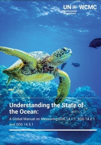 understanding the state of the ocean cover