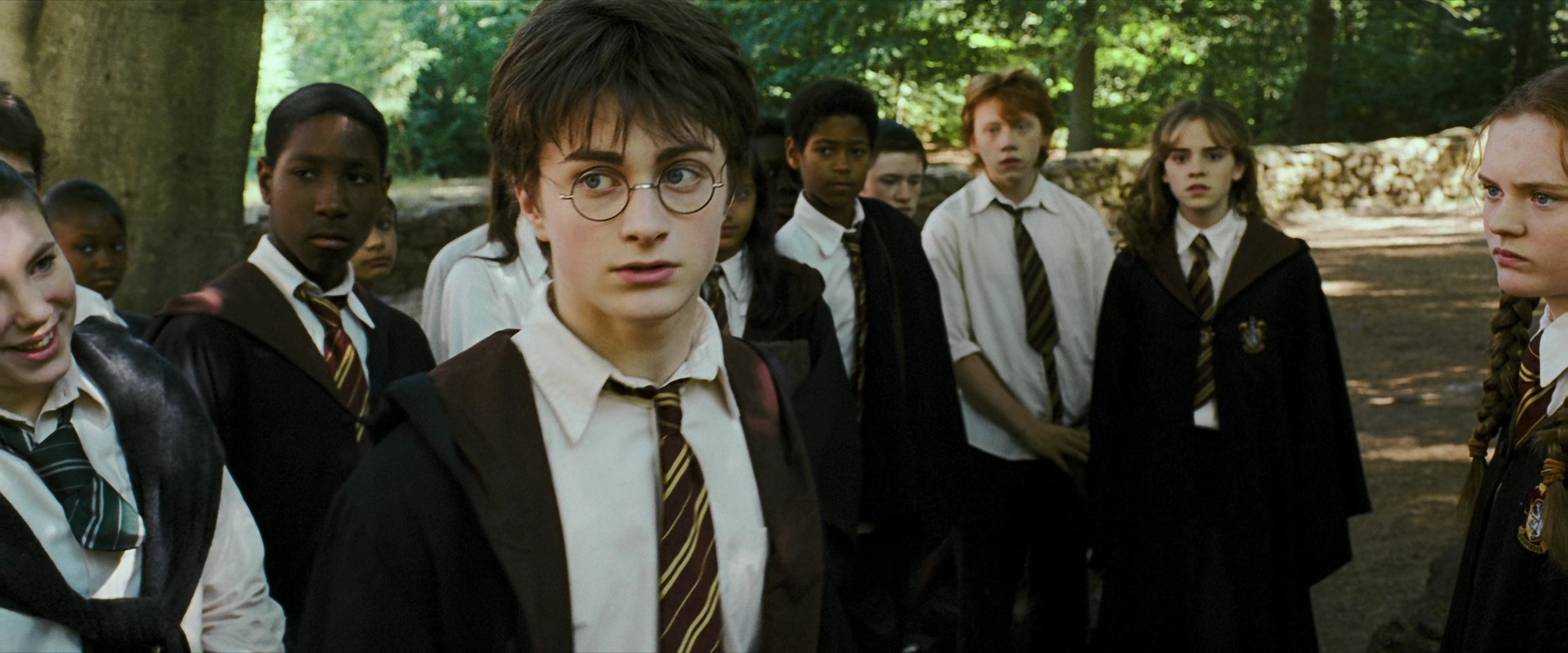 harry looking hesitant because no one wants to touch the hippogriff buckbeak