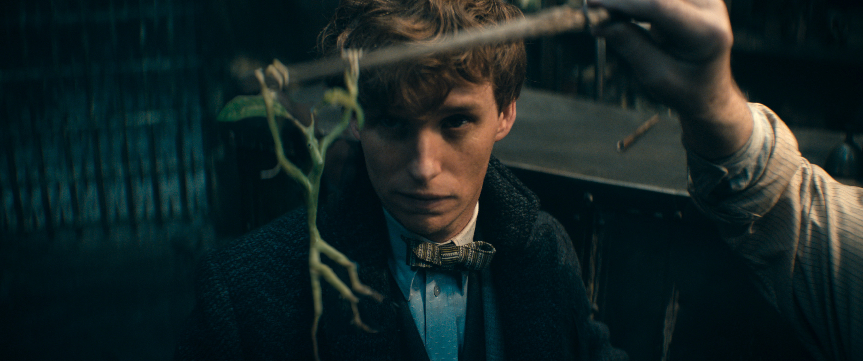 Newt Scamander (Eddie Redmayne) looks at “Pickett the Bowtruckle” (a little green leafy CGI beastie hanging from a branch) in Fantastic Beasts: The Secrets of Dumbledore