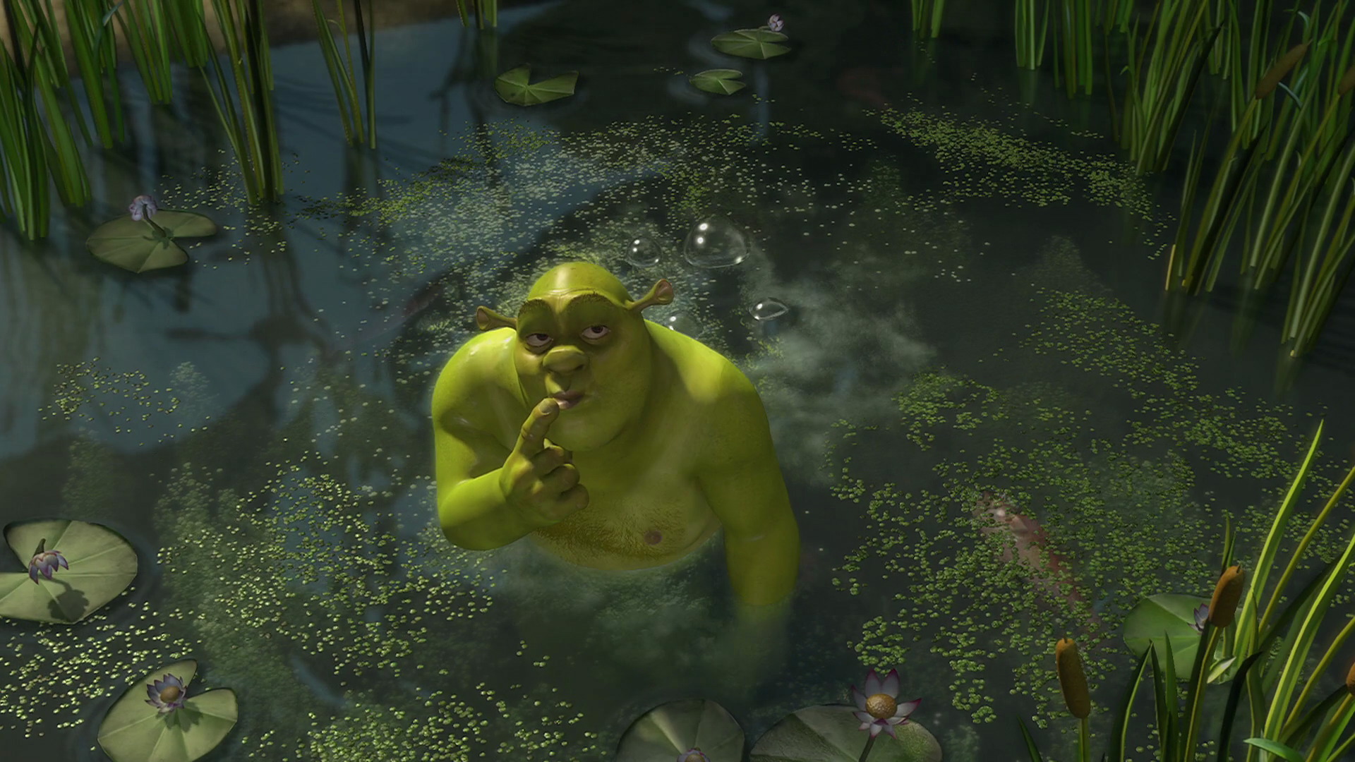 shrek looking cheeky after farting in his swamp