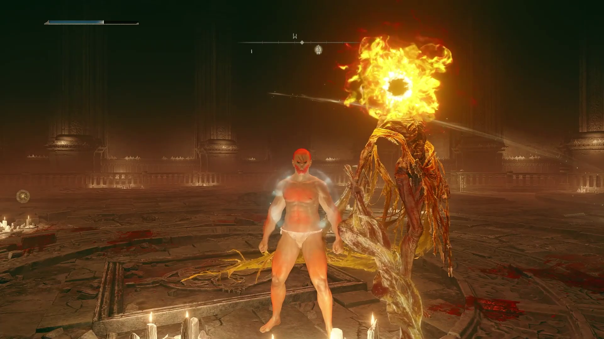 An image of a character from Elden Ring standing in front of a boss summon using a mod.