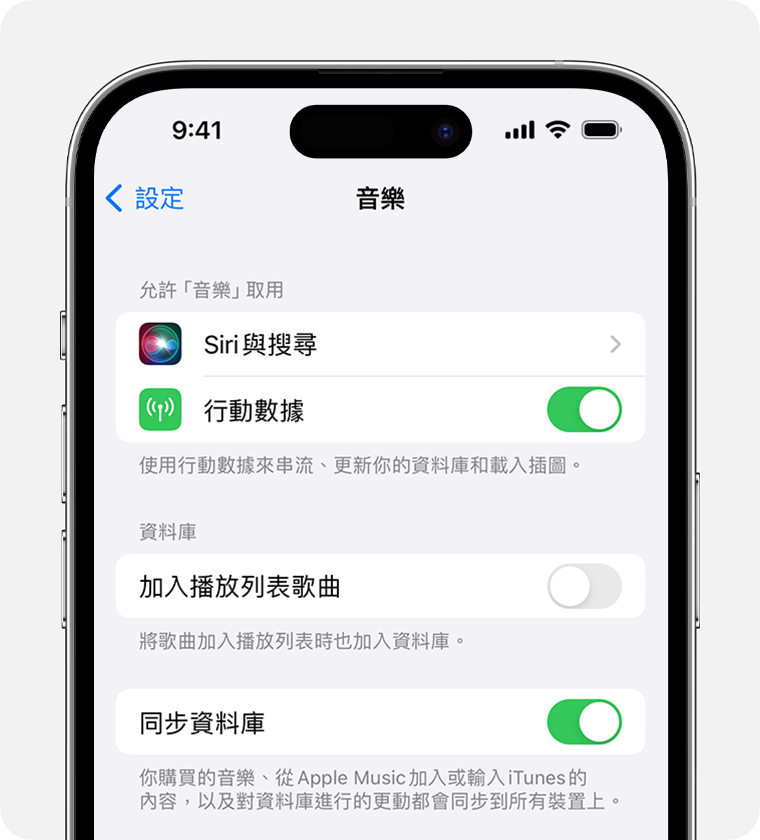 iPhone 上的「音樂設定」中顯示已開啟「同步資料庫」。