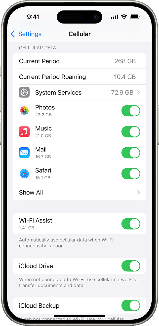 iOS 18 settings menu displaying mobile data options