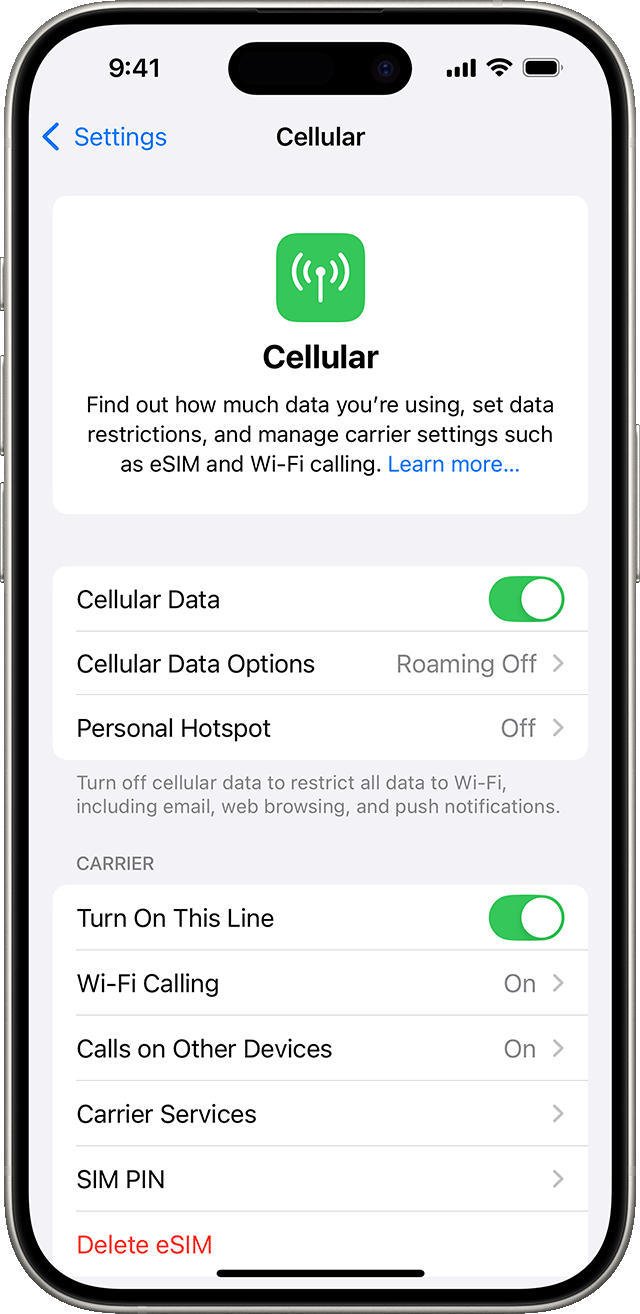 iOS 18 settings menu displaying cellular options