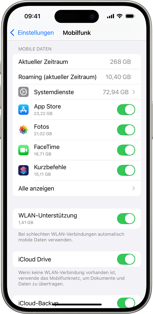 Datenoptionen in den iOS 18-Einstellungen