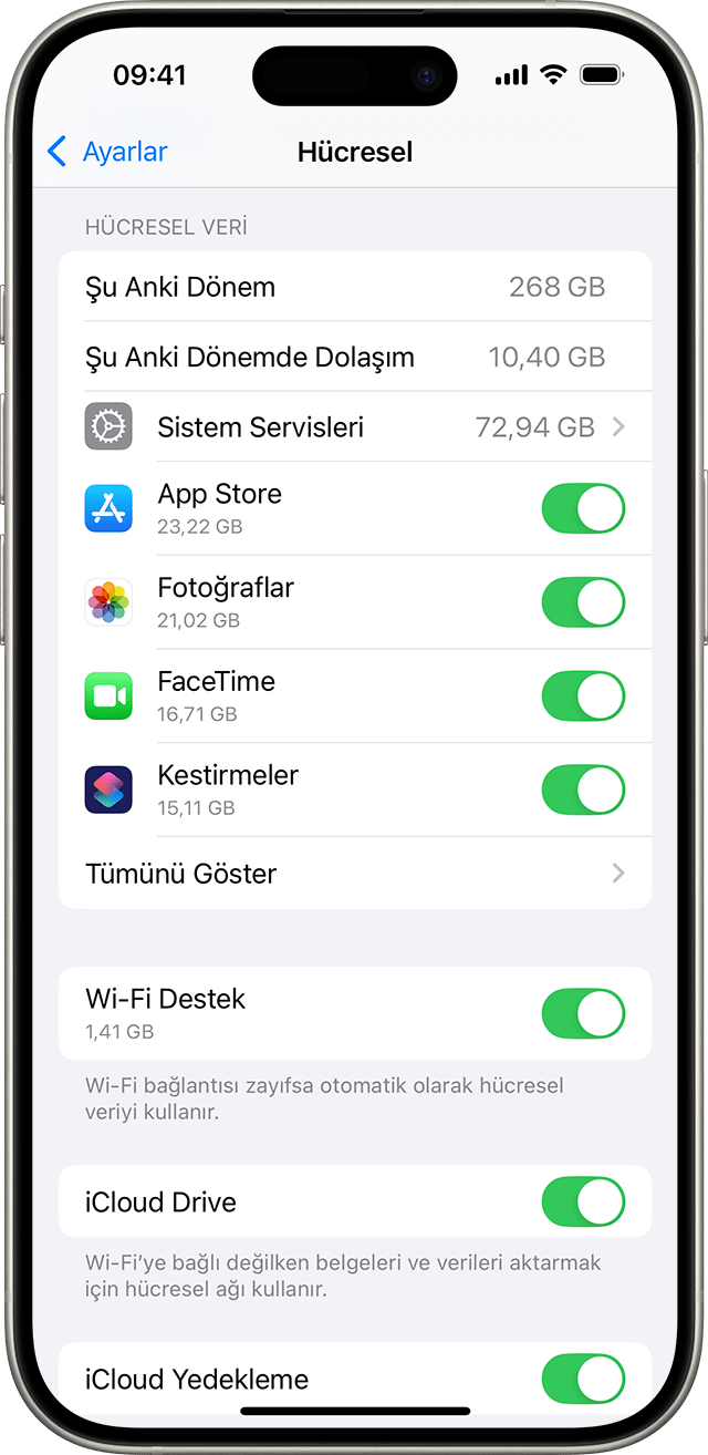 Hücresel veri seçeneklerini gösteren iOS 18 ayarlar menüsü