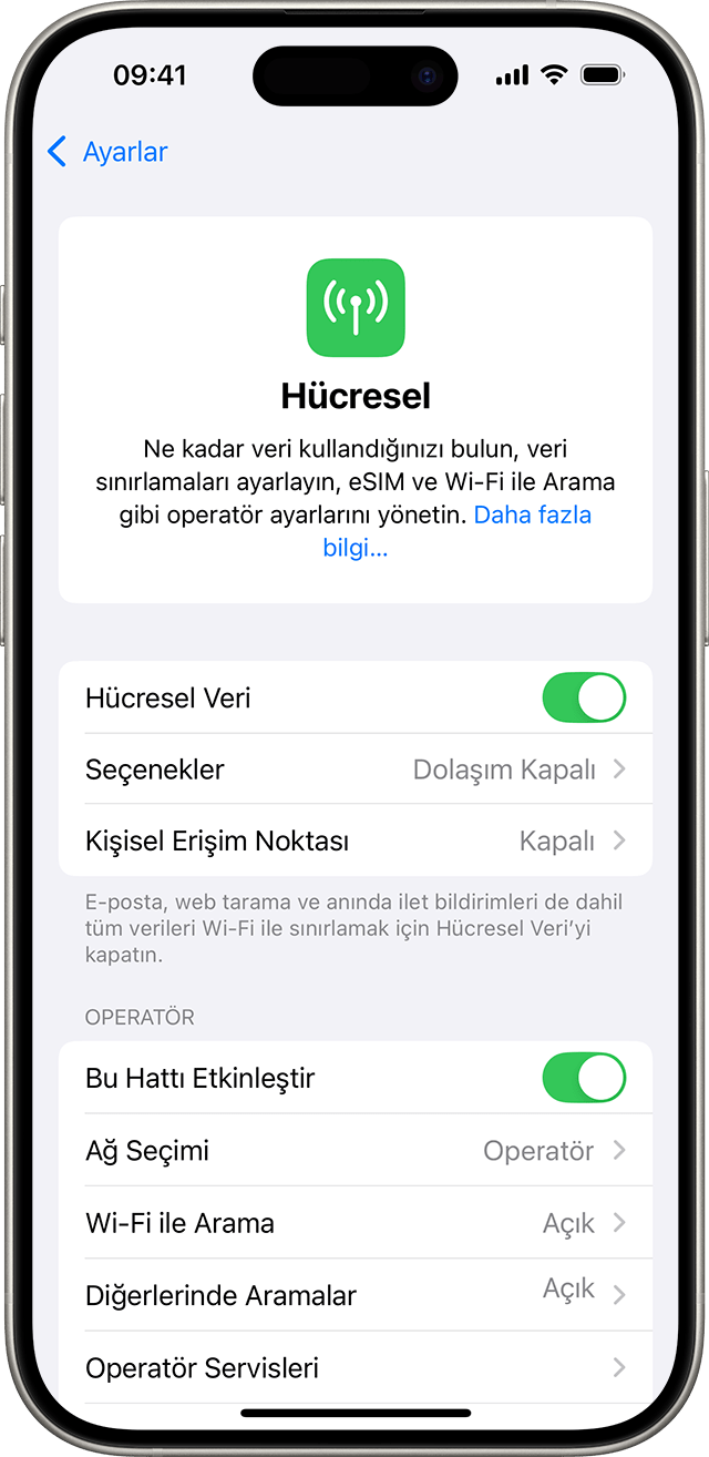 Hücresel seçeneklerini gösteren iOS 18 ayarlar menüsü