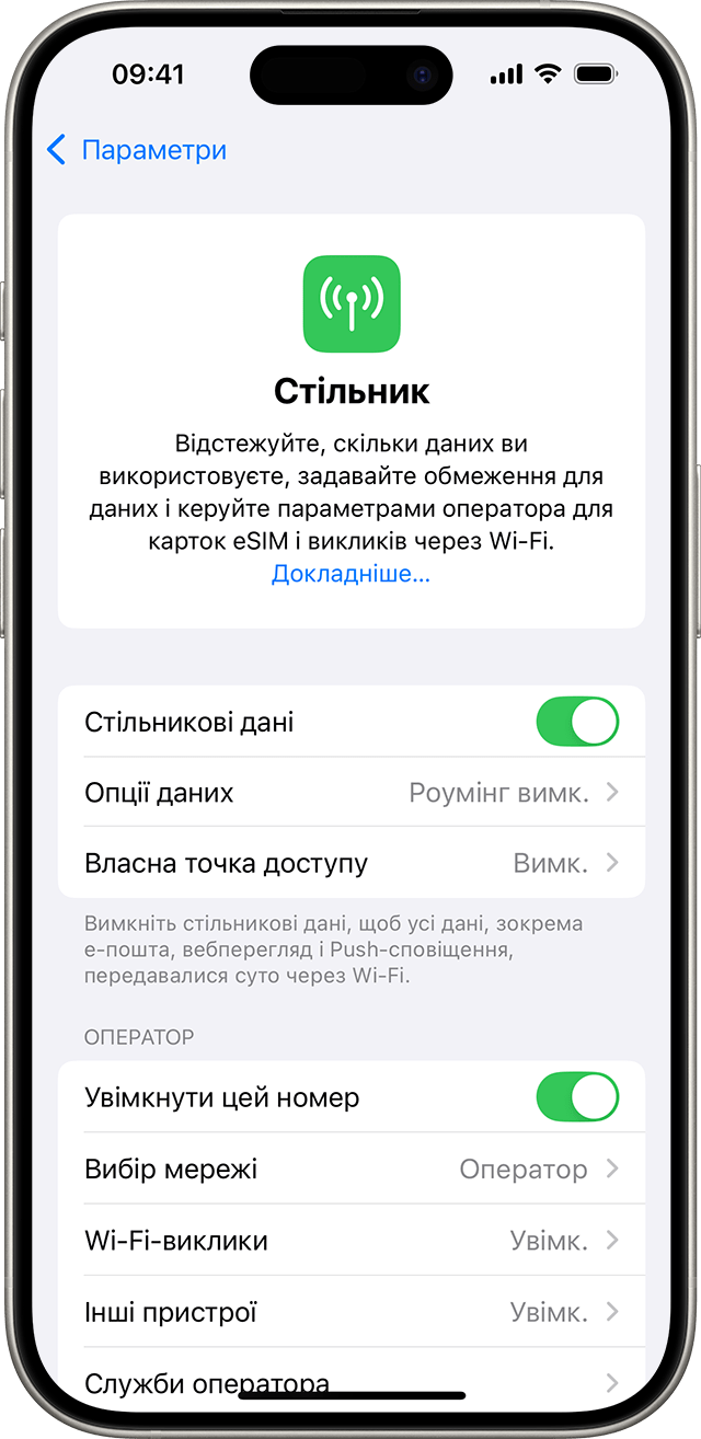 У меню параметрів iOS 18 відображаються параметри стільникового зв’язку