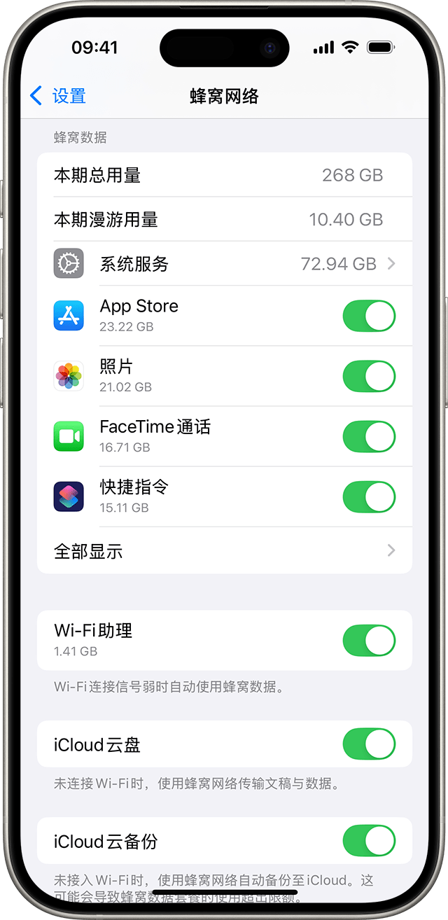 iOS 18 的设置菜单中显示了蜂窝数据选项