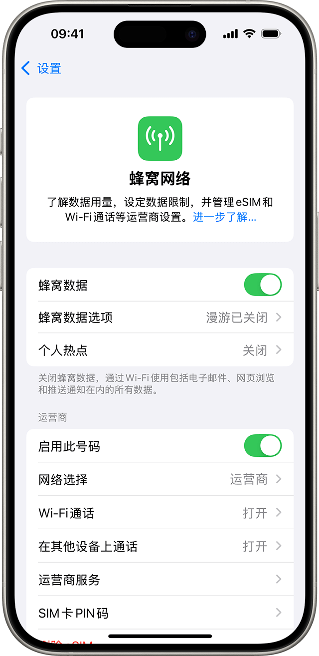 iOS 18 的设置菜单中显示了蜂窝网络选项