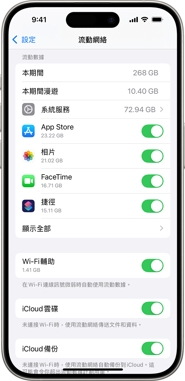 iOS 18 設定選單顯示流動服務選項