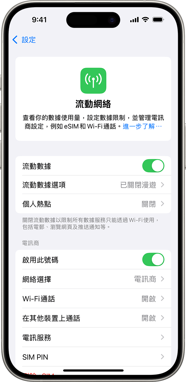 iOS 18 設定選單顯示流動服務選項