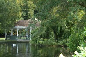 Natuurlandschap vlak bij het hotel