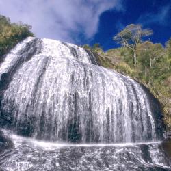 Urubici