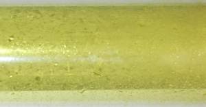 Chlorine In Test Tube