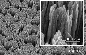 Nanoscale image of palladium metal surfac