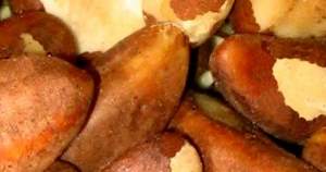 Selenium/Brazil Nuts