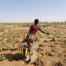 Moonshot Resilient and healthy water systems for people and nature