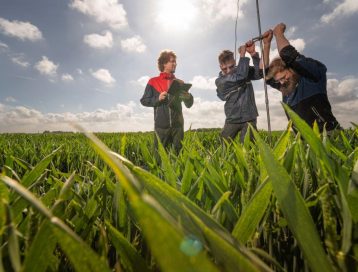 Veldwerk verzilting Zeeland Deltares Zeeland EJT 6005