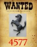 wanted4577