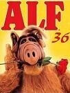 alf36