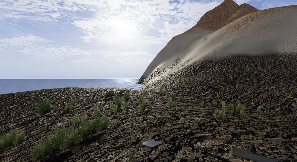 pbr_terrain_muddy_shore_001.jpg