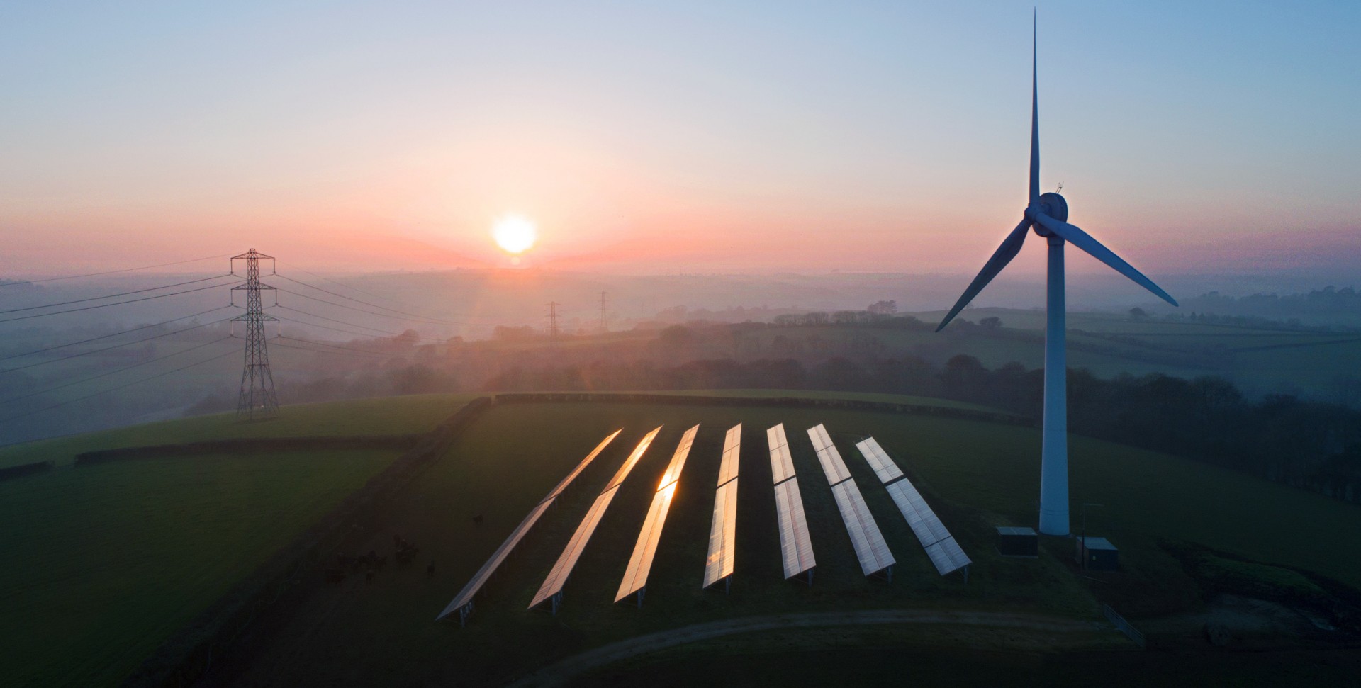 Solar panels and wind turbines