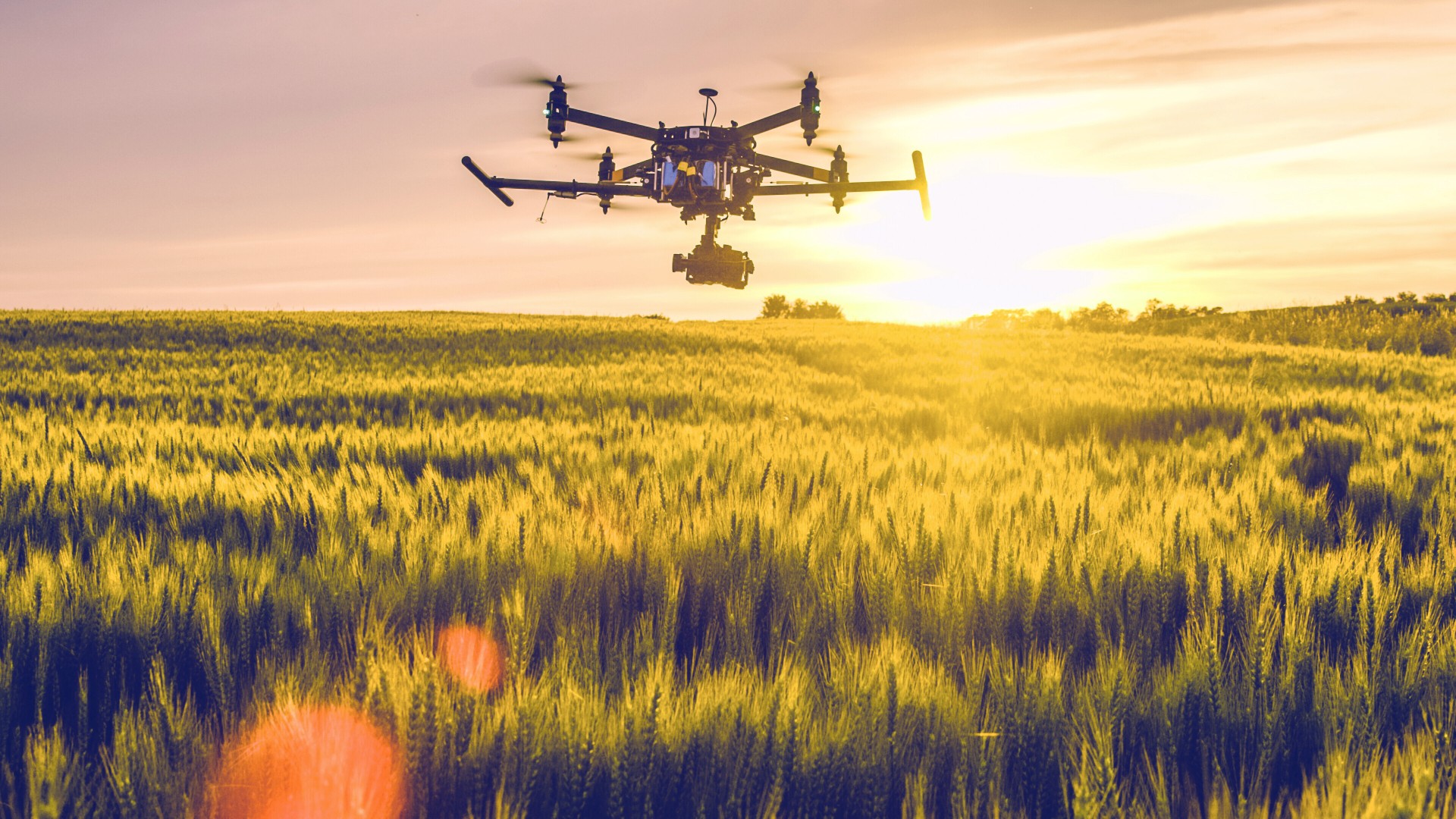 Drone flying over field at sunset