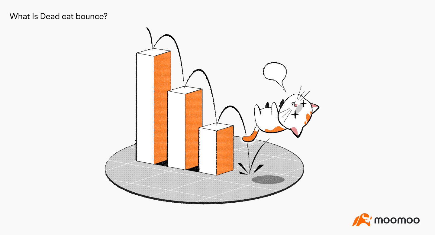 What is the Dead Cat Bounce？ -1