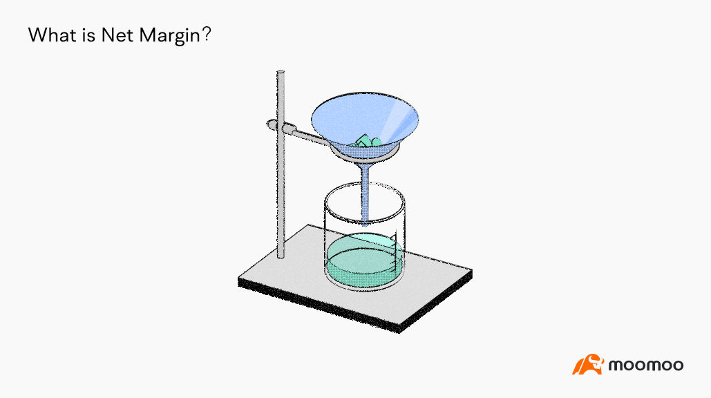 What is Net Margin? -1