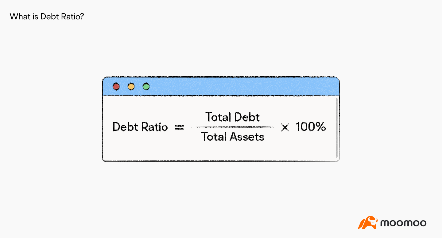 What is the Debt Ratio？ -1