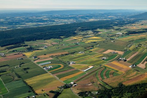 Aerial photo shows extensive farmland