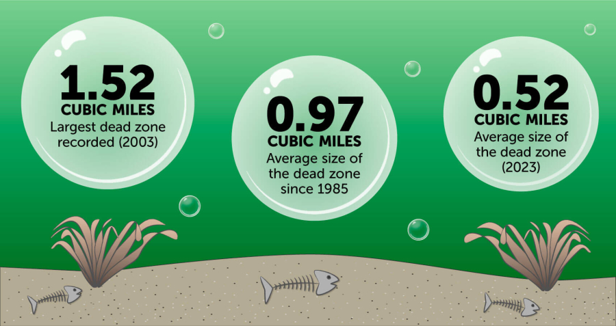 Infographic shows the largest dead zone ever recorded in the Chesapeake Bay, the average size of the Bay's dead zone since 1985, and the average size of the Bay's dead zone in 2023.