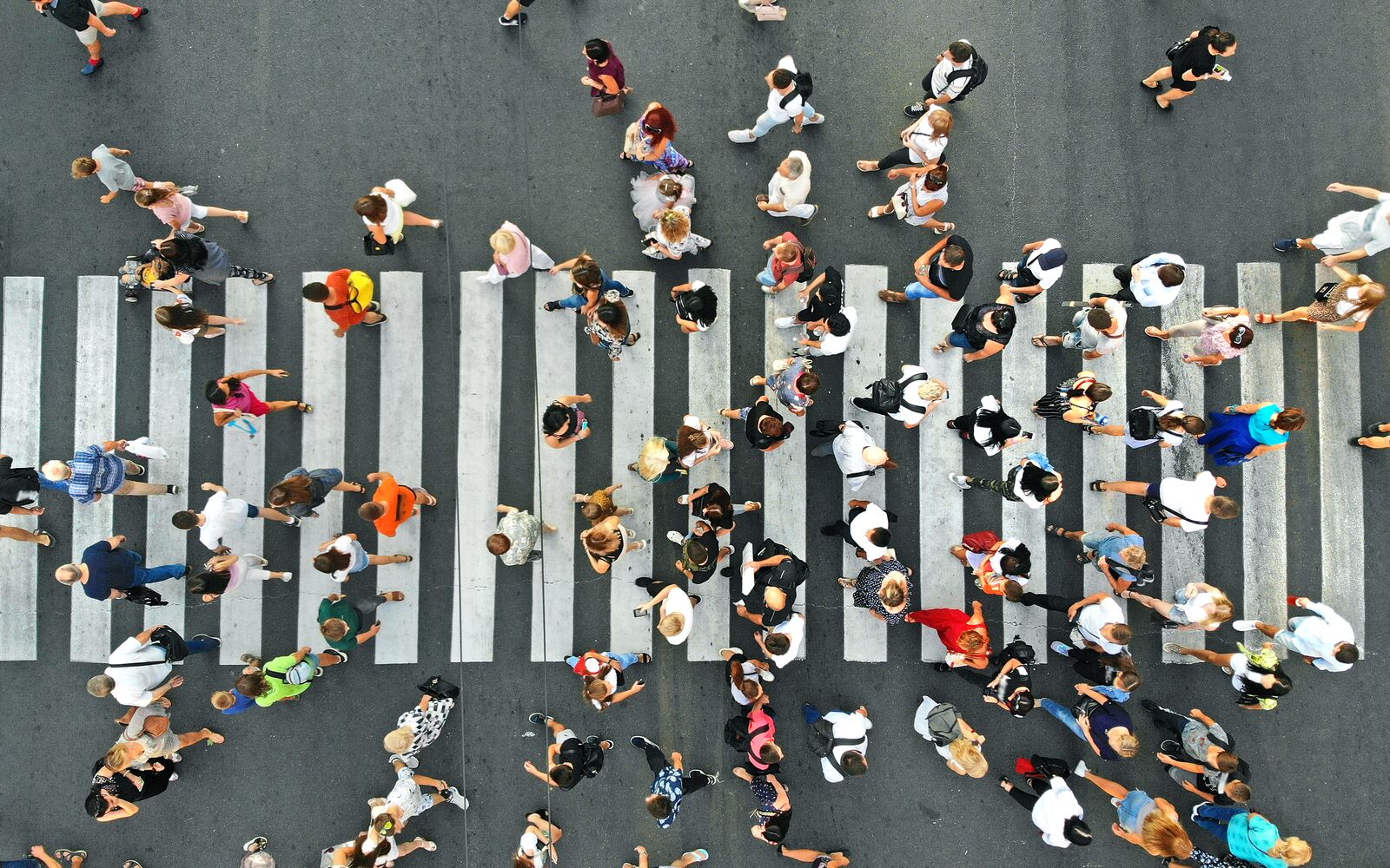 Aerial. People crowd on pedestrian crosswalk. Top view background.; Shutterstock ID 1486465109; purchase_order:Journal Launch; job:; client:; other: