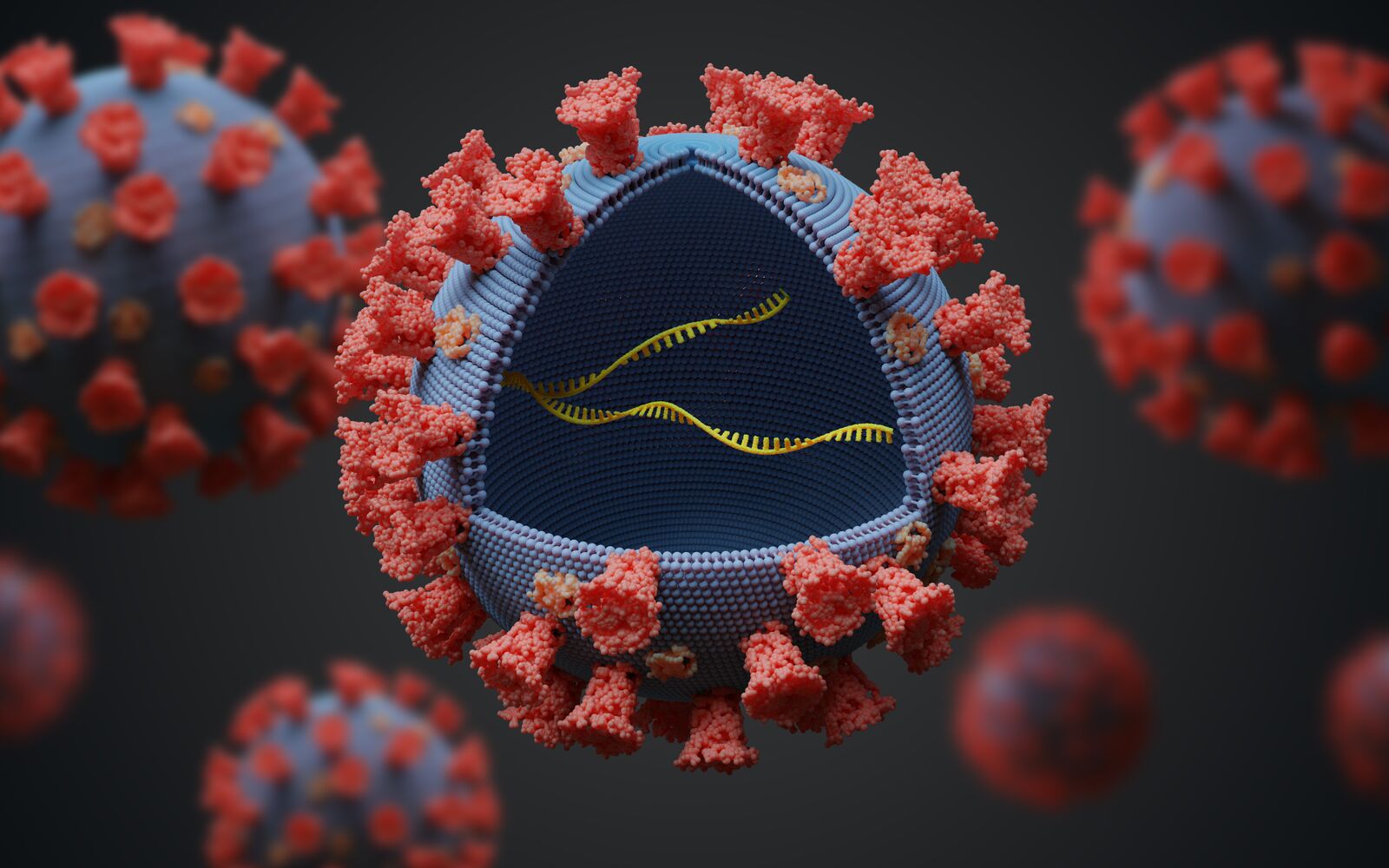 Virus with RNA molecule inside. Infection concept. 3D rendered illustration.